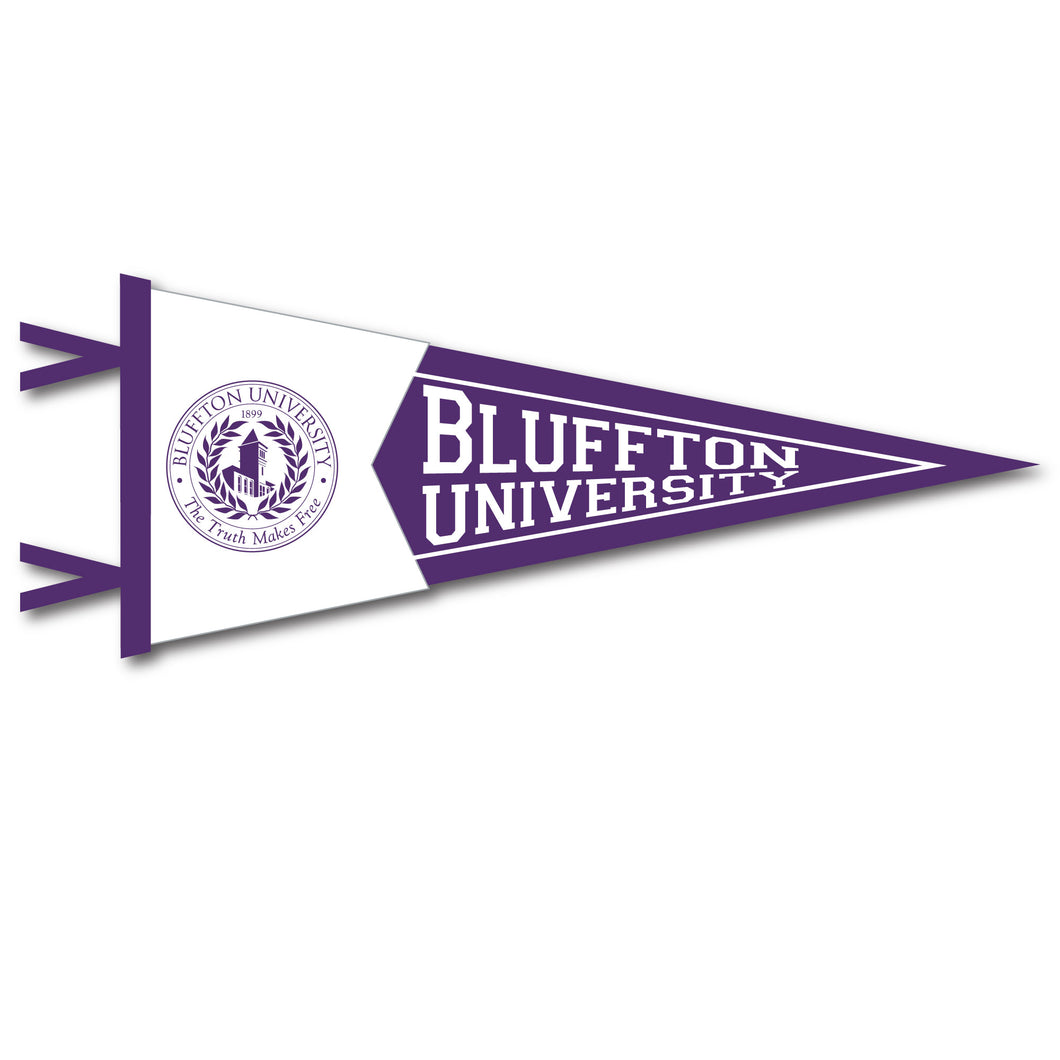 7 X 18 Two-Piece Flock Plus Pennant | Purple