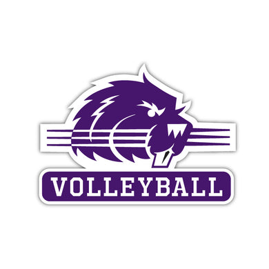Bluffton Volleyball Decal - M12