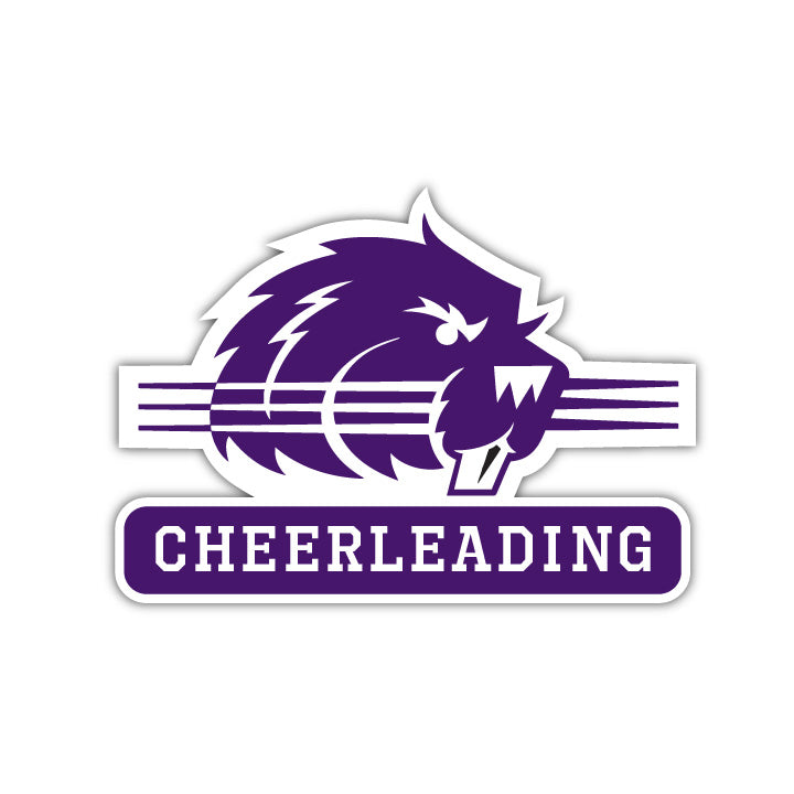 Bluffton Cheerleading Decal - M19