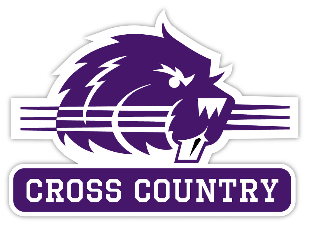 Bluffton Cross Country Decal - M16